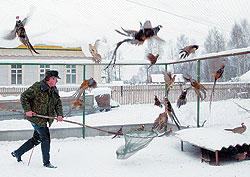 Фото: ВАСИЛИЙ ШАПОШНИКОВ