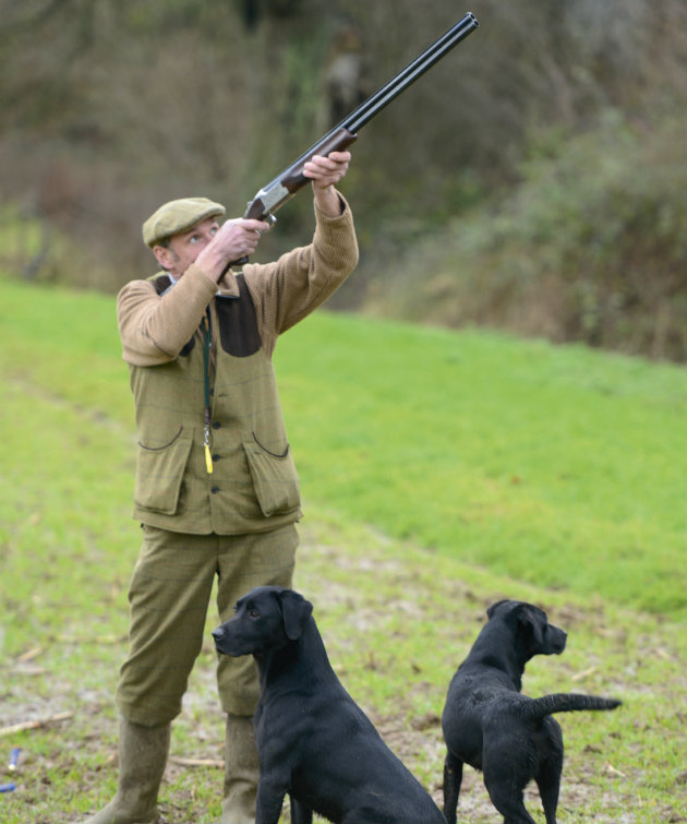 man-shooting-with-dogs.jpg