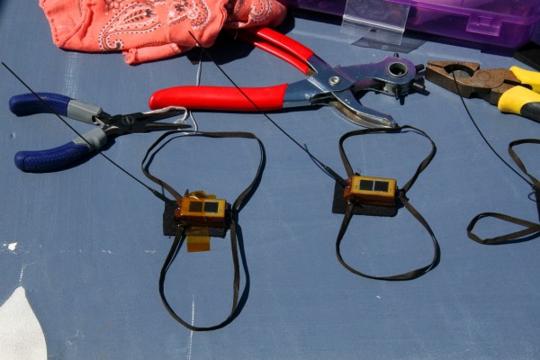 Satellite-transmitters-and-harnesses-used-to-track-whimbrel.--600x400.jpg