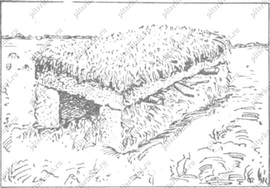 Рис. 37. Гнездовое укрытие типа «тоннель» (из кустов и дерна)