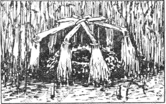 Рис. 41. Остов шатрового гнездовья