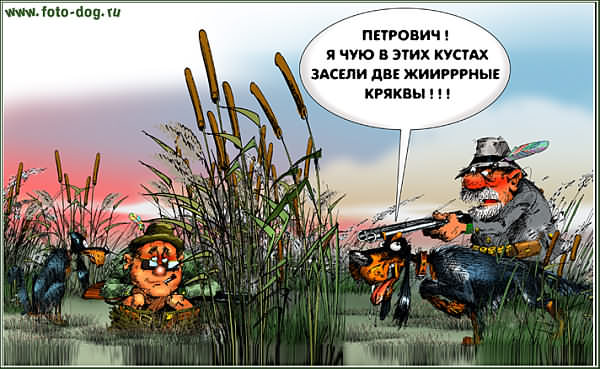 Поговорки про охоту и охотников Поговорки про охоту и охотников