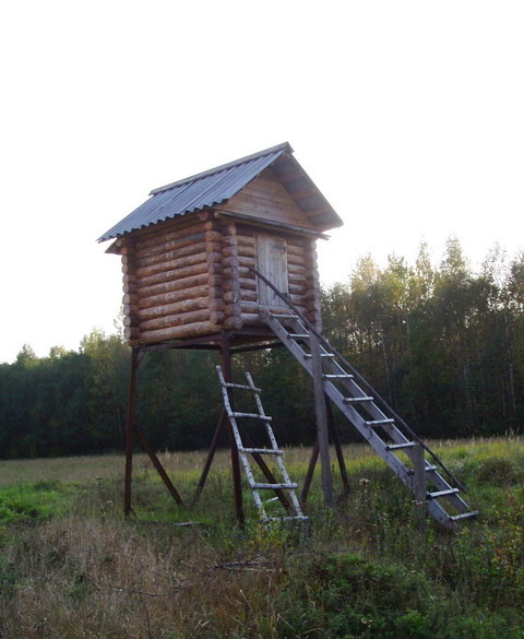 Лабазы из бревна для охоты