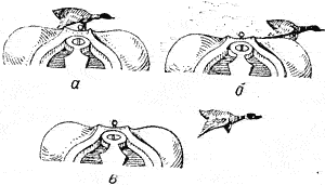 Положение выцеленной летящей утки: а — в момент решения стрелка стрелять