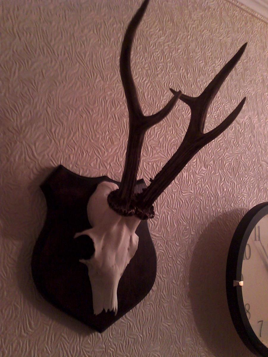 IMG_20130613_224804.jpg