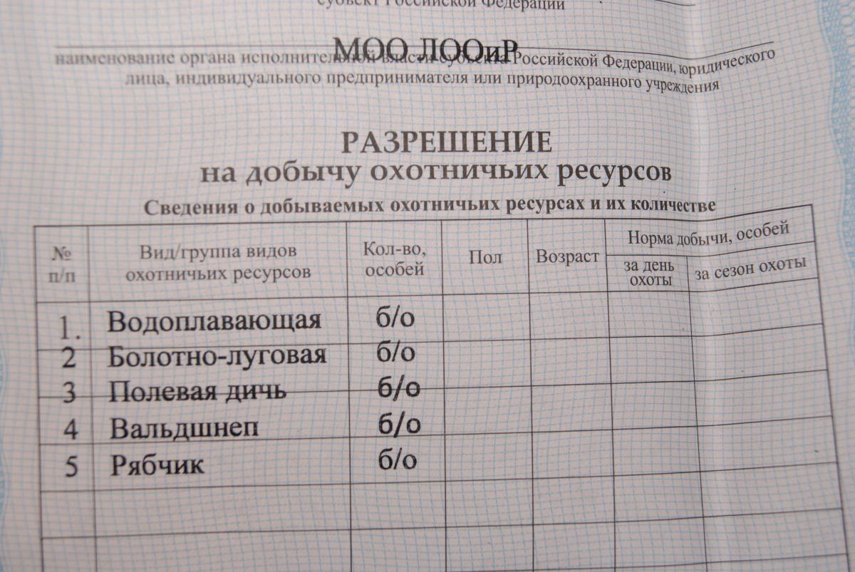 DSC02522.jpg