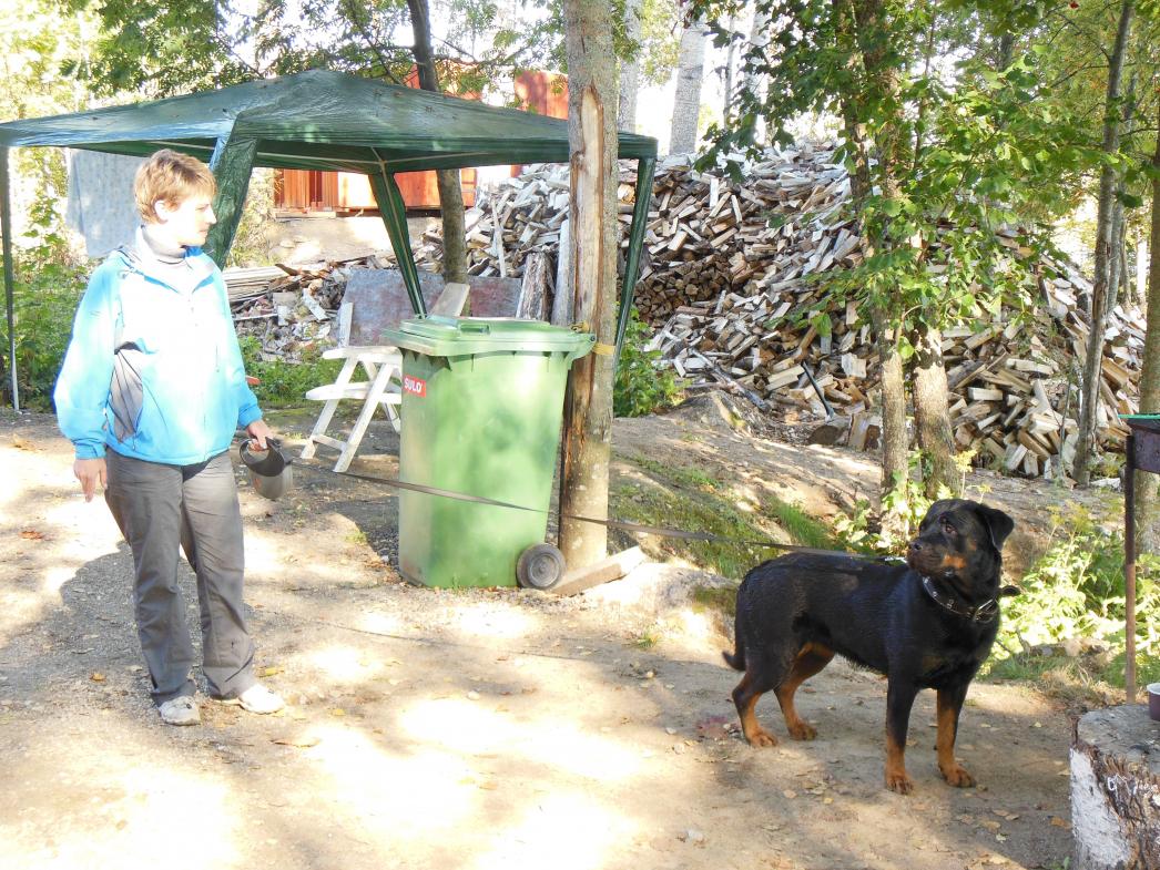 DSCN0735.jpg