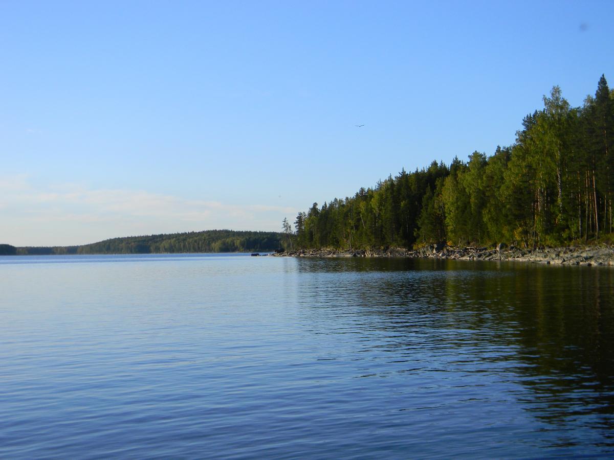 DSCN4401.jpg