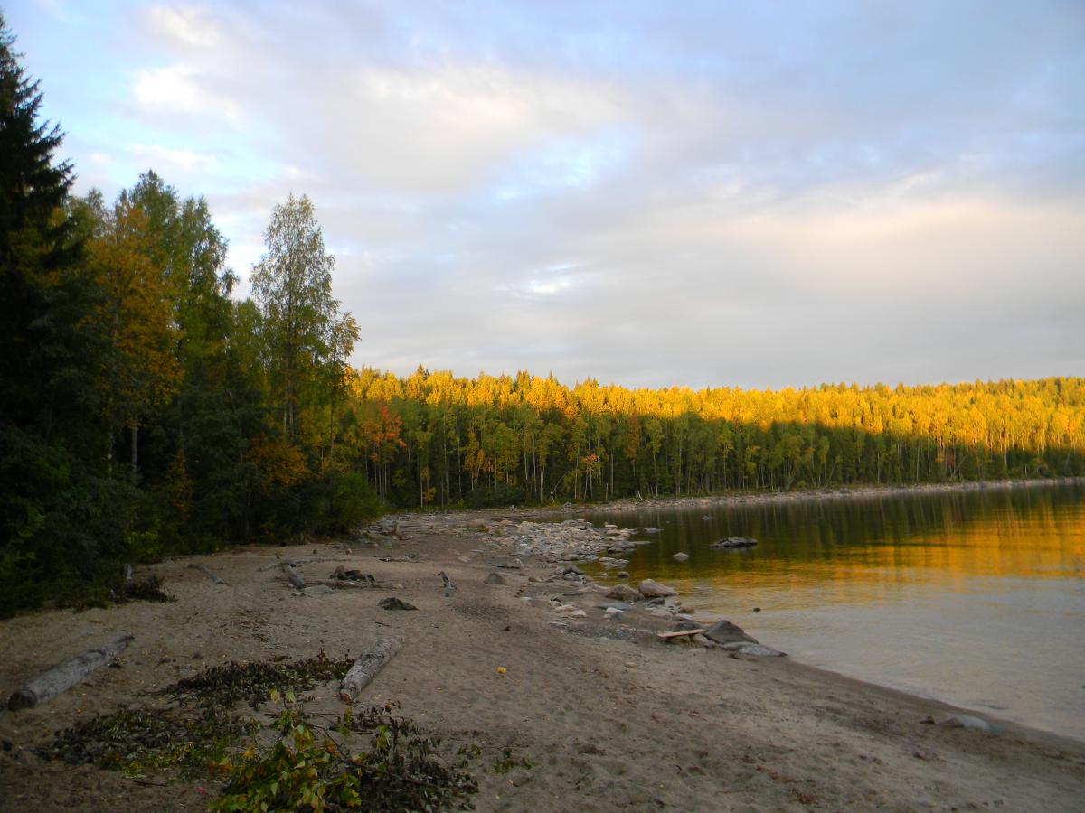 DSCN4492.jpg