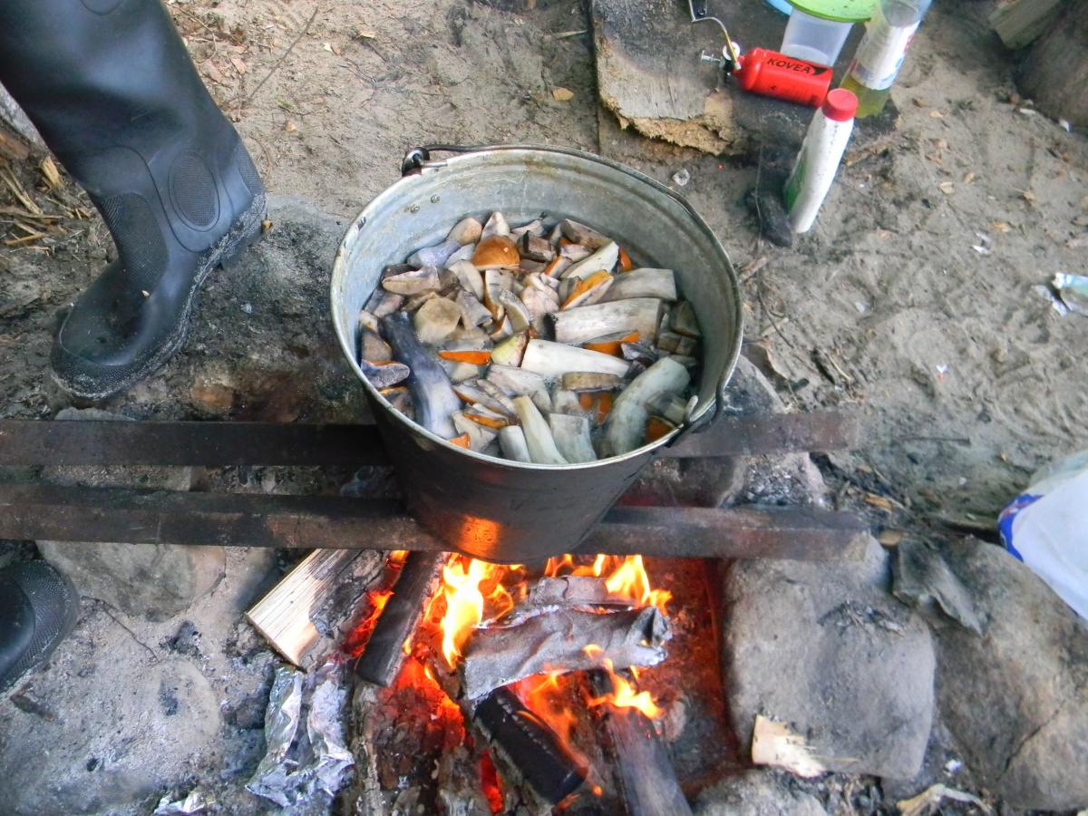 DSCN4482.jpg