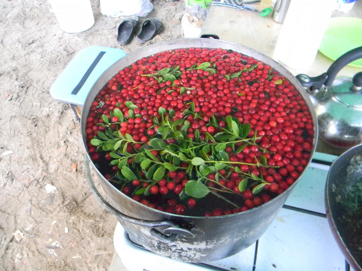 DSCN4503.jpg