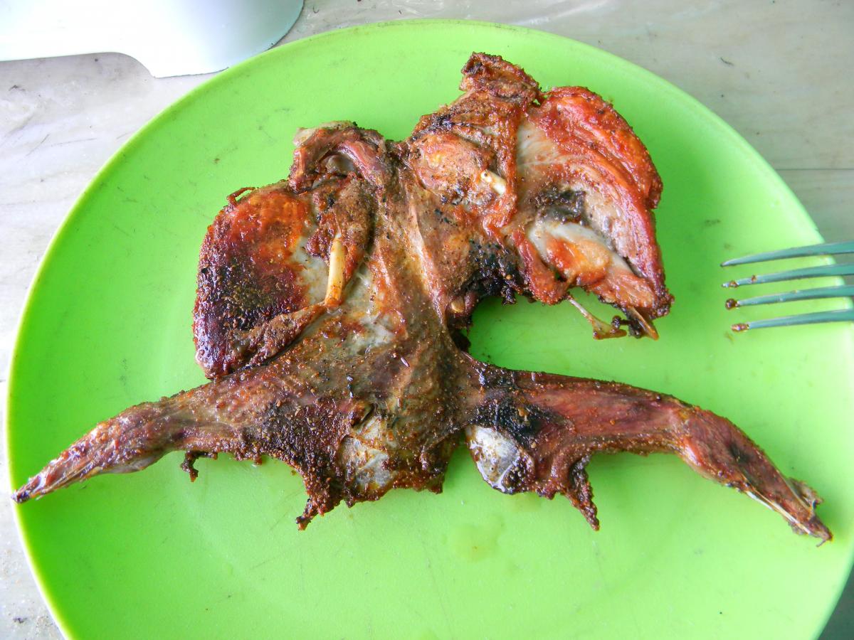 DSCN4505.jpg