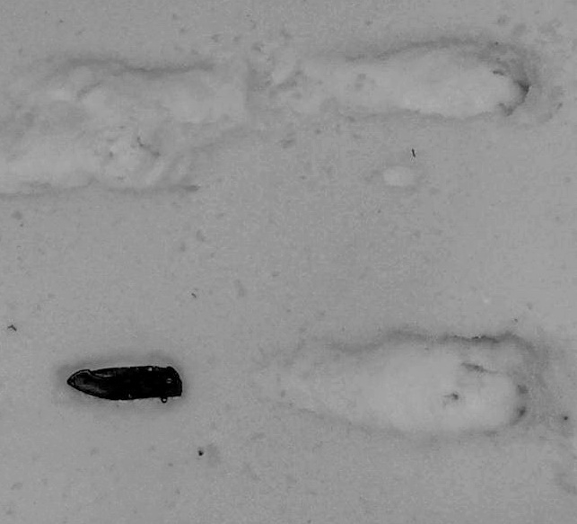03022014526.jpg