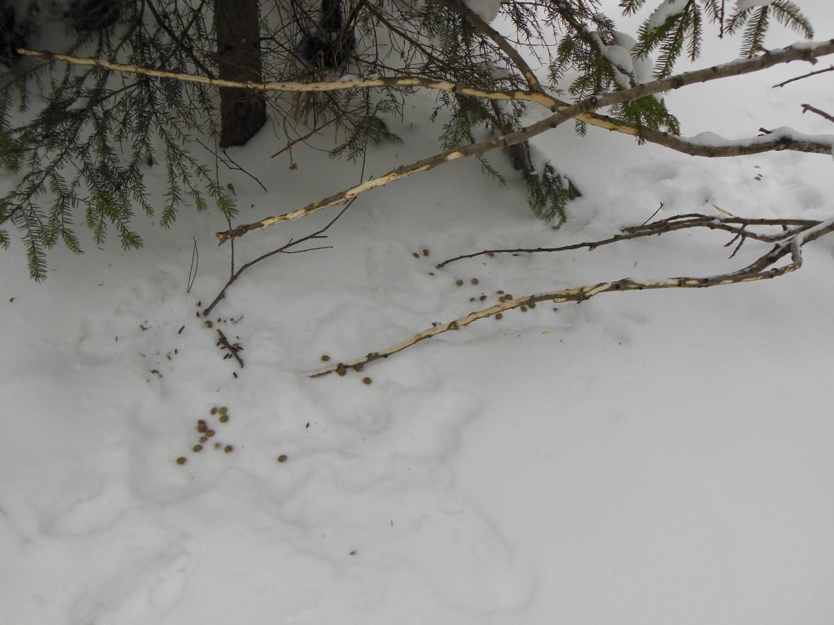 DSCN1580.jpg