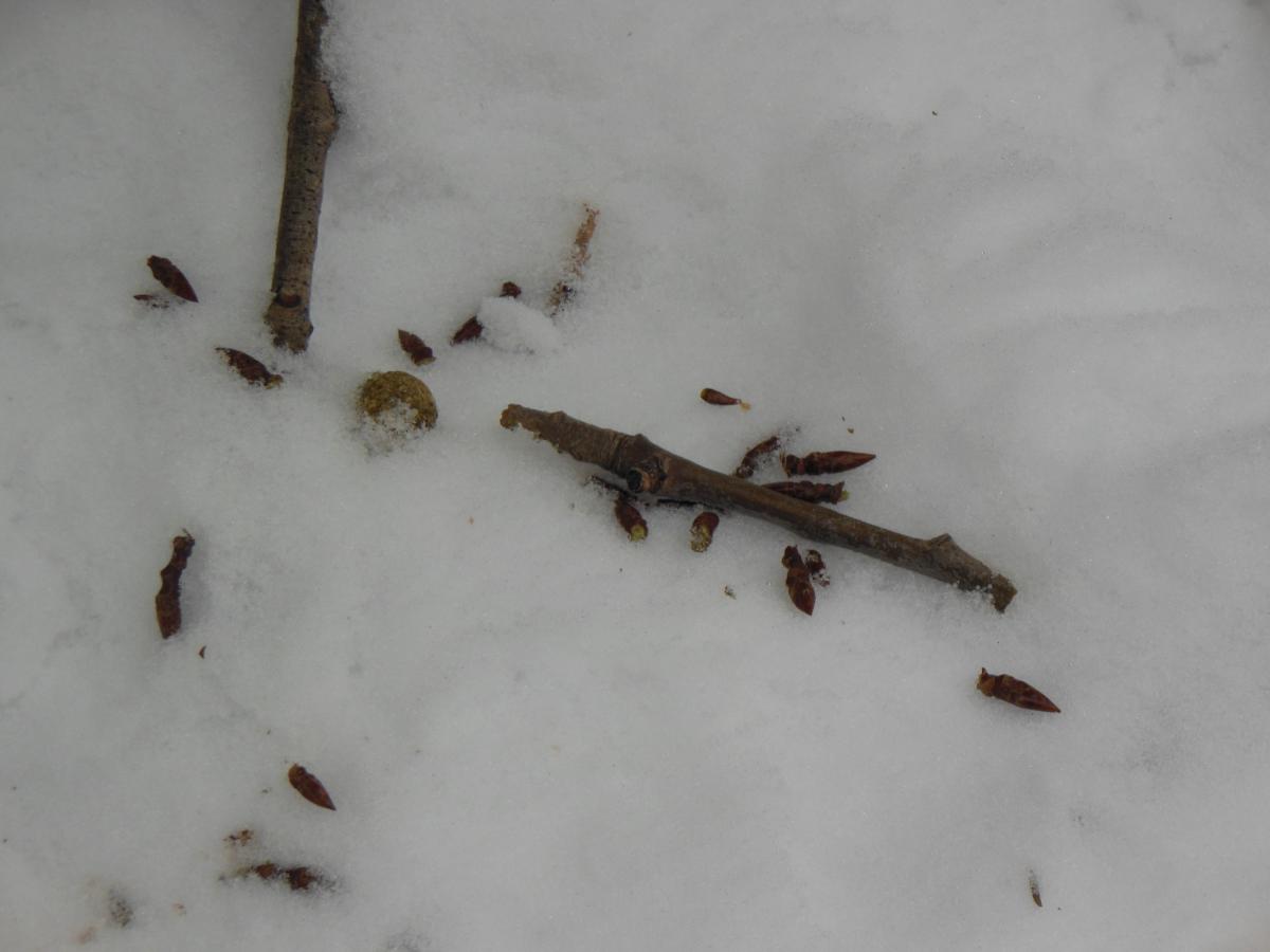 DSCN1583.jpg