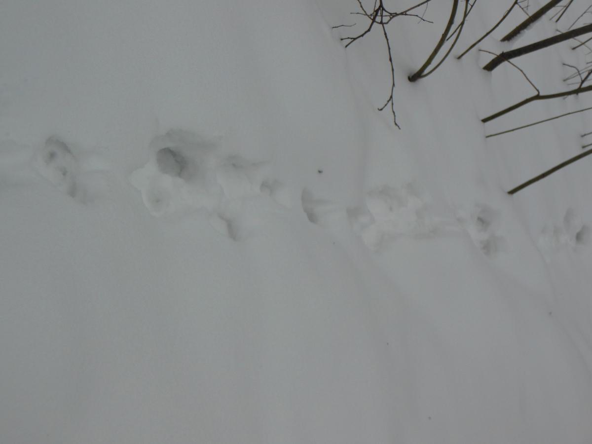 DSCN1586.jpg