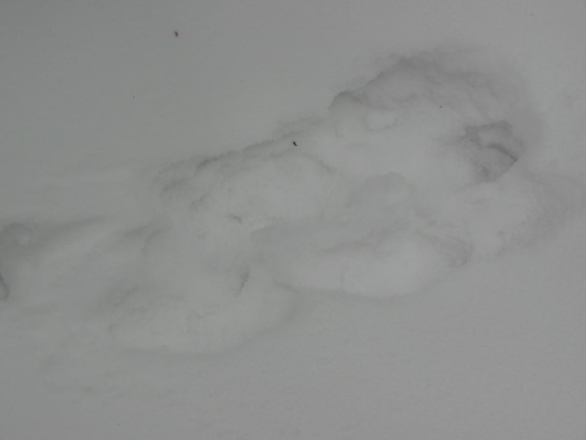 DSCN1587.jpg