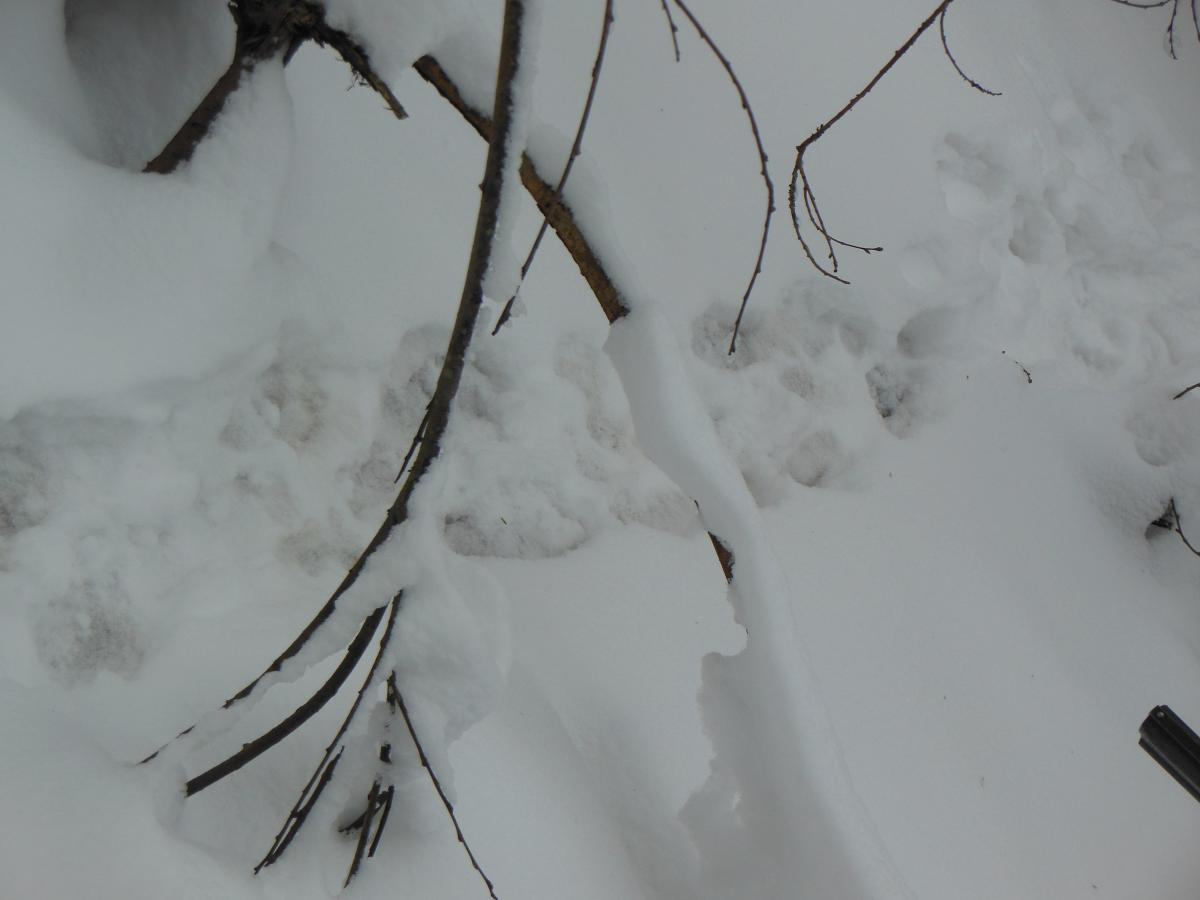 DSCN1595.jpg