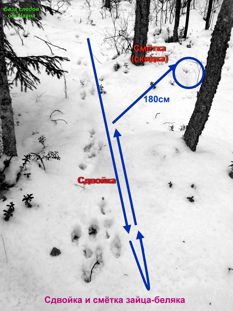 DSCN1656.jpg