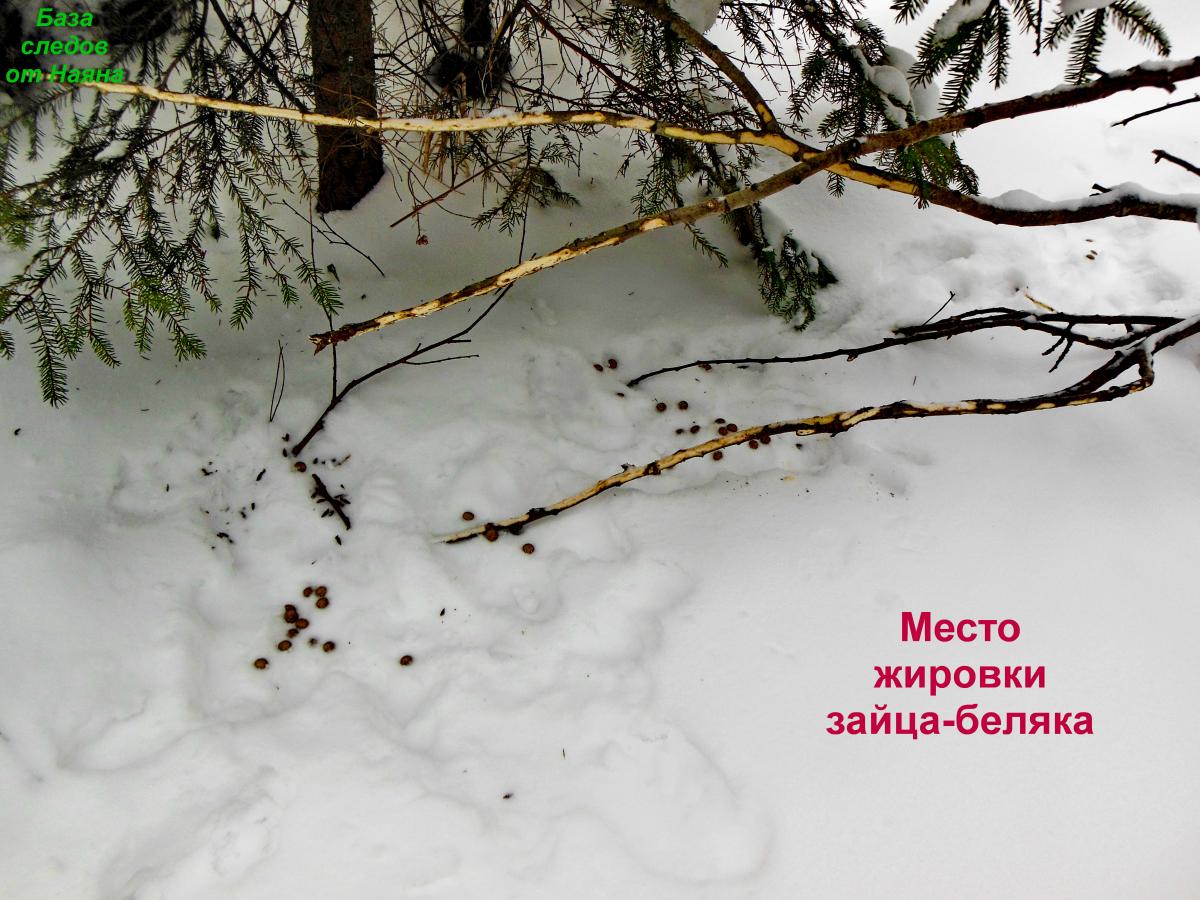 DSCN1580.jpg