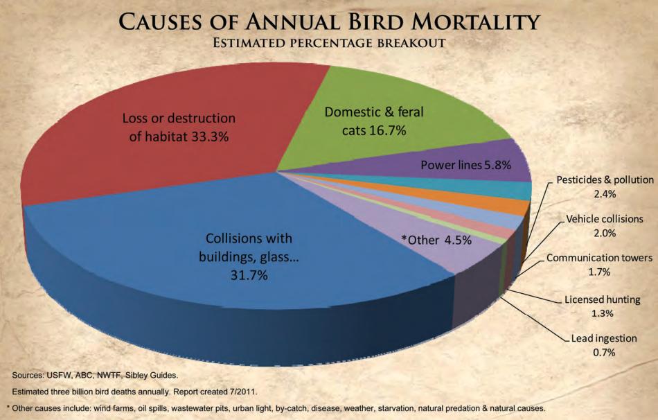 BirdMortalityChart.JPG