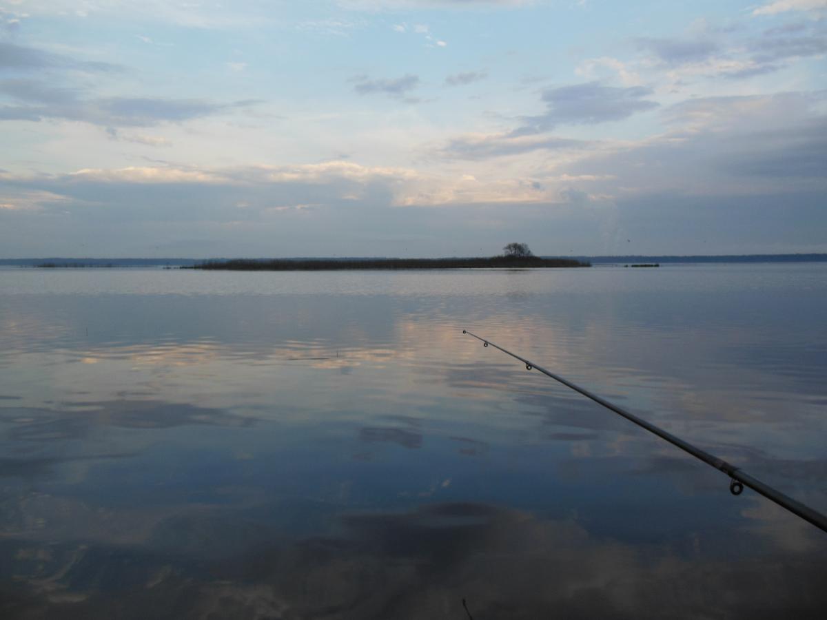 DSCN2061.jpg