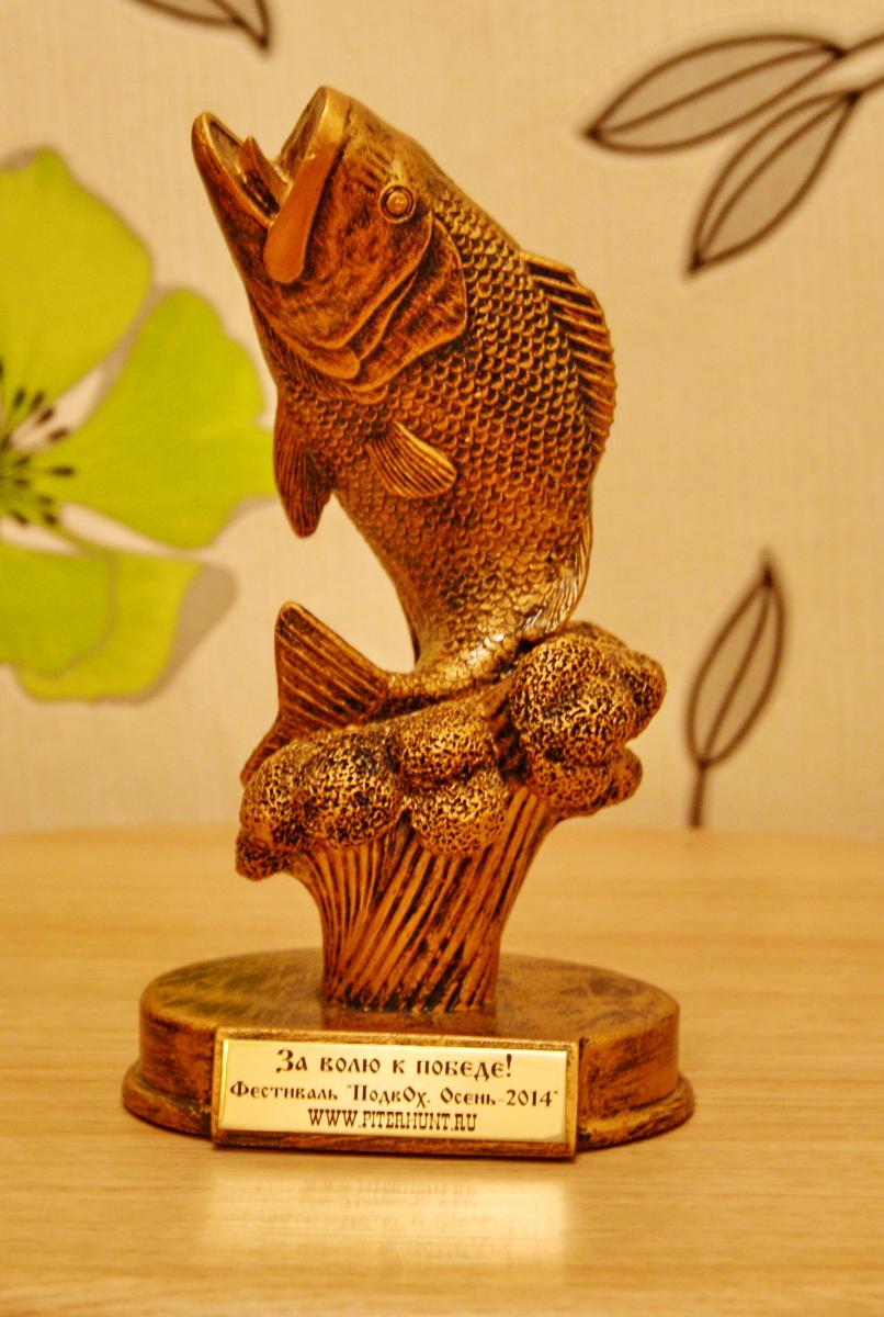 DSC02812.jpg