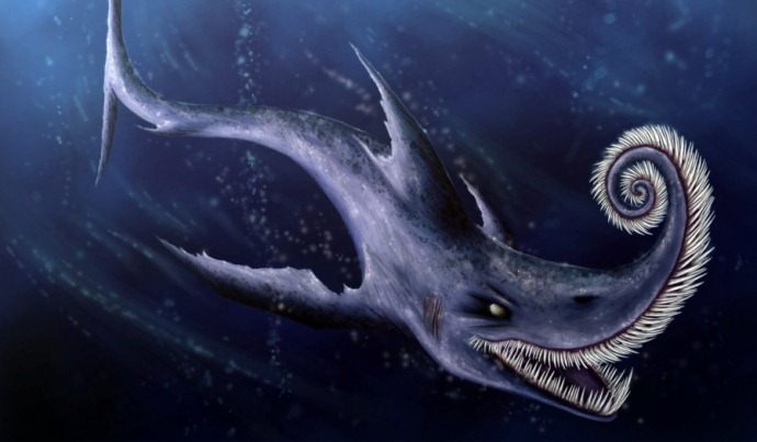 1334501142_helicoprion_by_firael666-d4oluiz.jpg