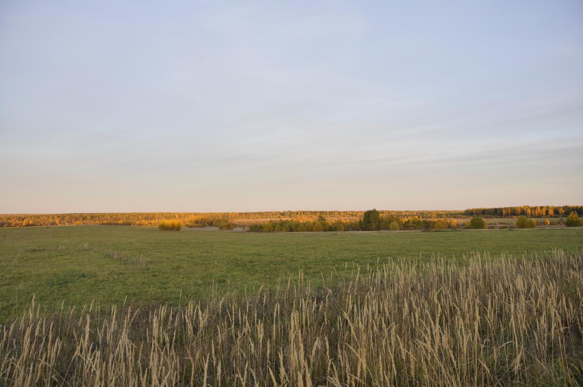 _DSC0035.jpg