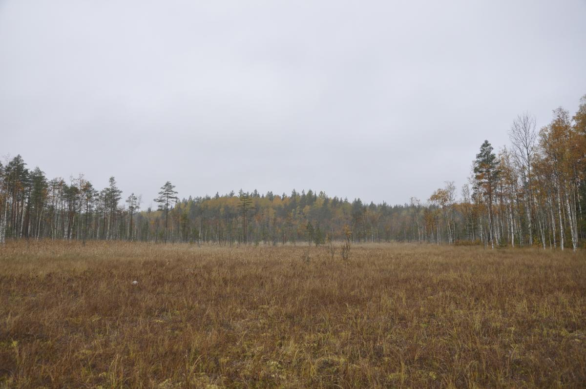 _DSC0089.jpg