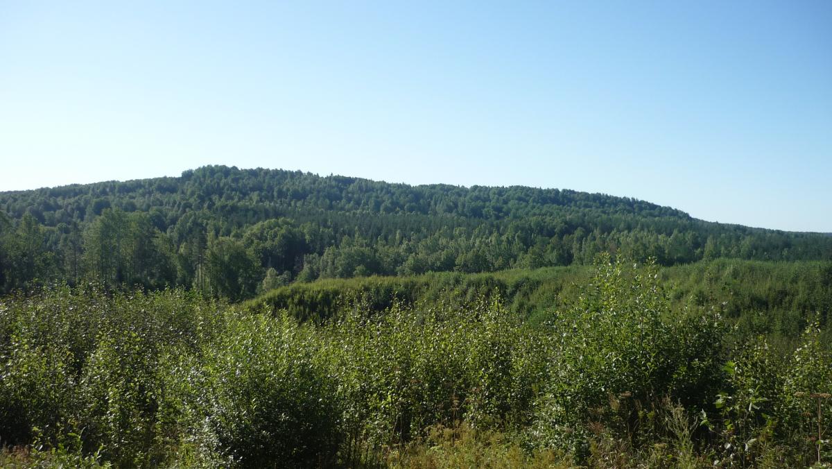 P1060920.jpg