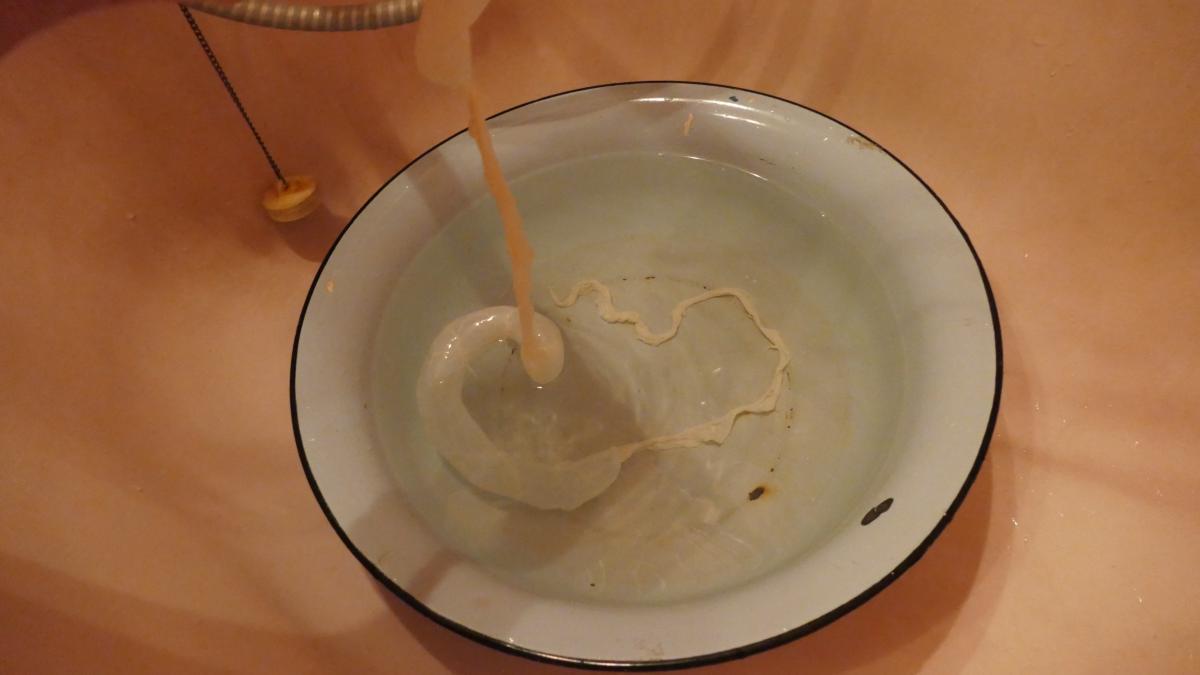 P1320729.jpg