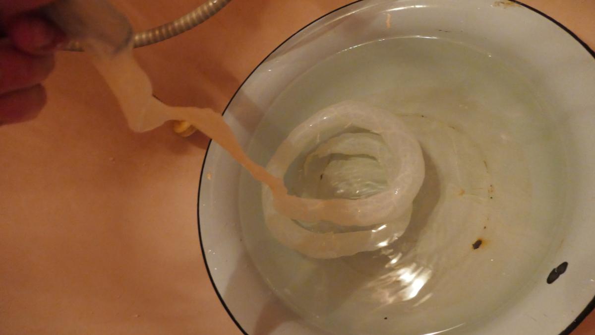 P1320734.jpg