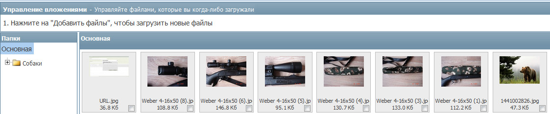 URL-2.jpg