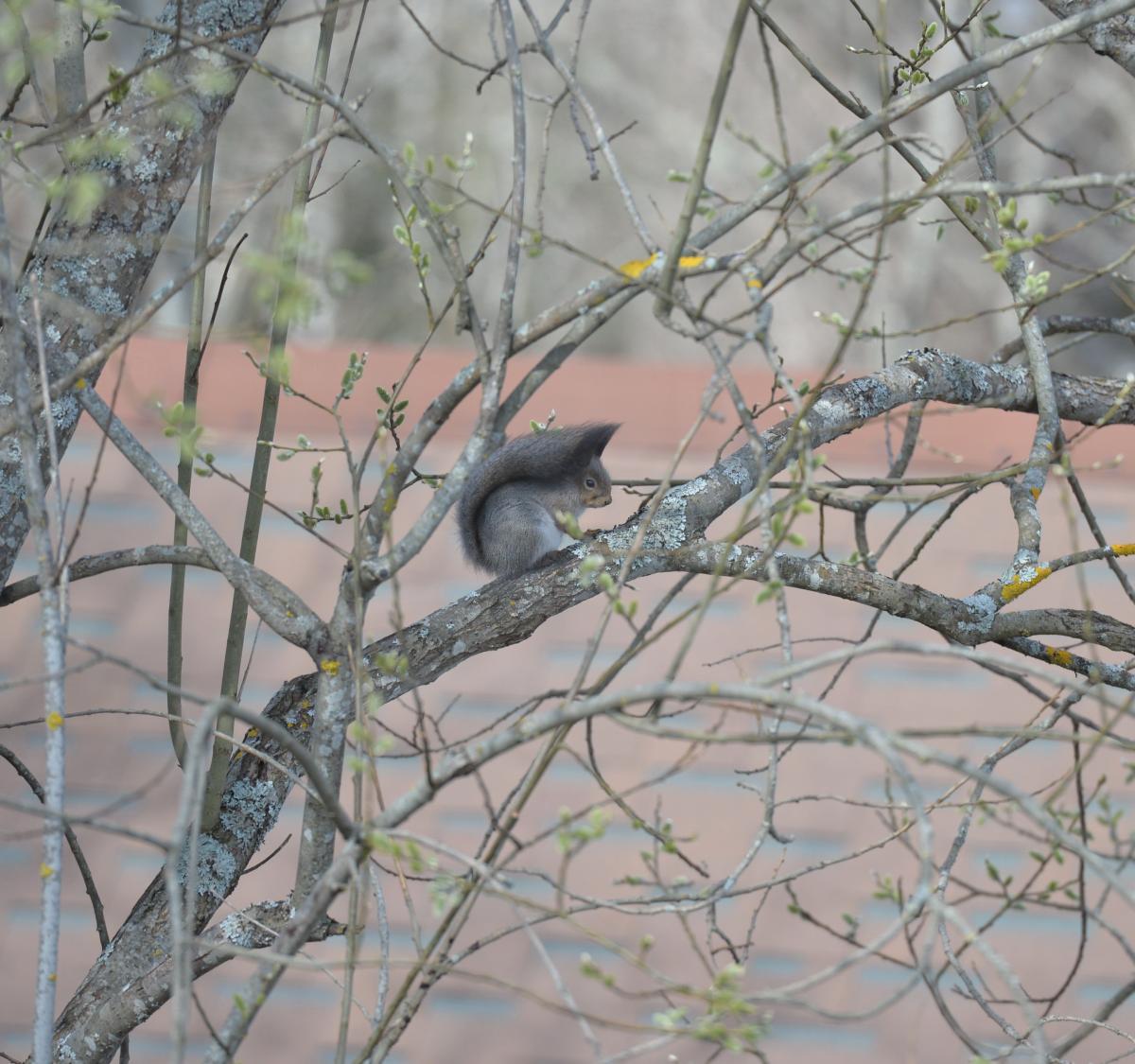 DSC_0809.jpg