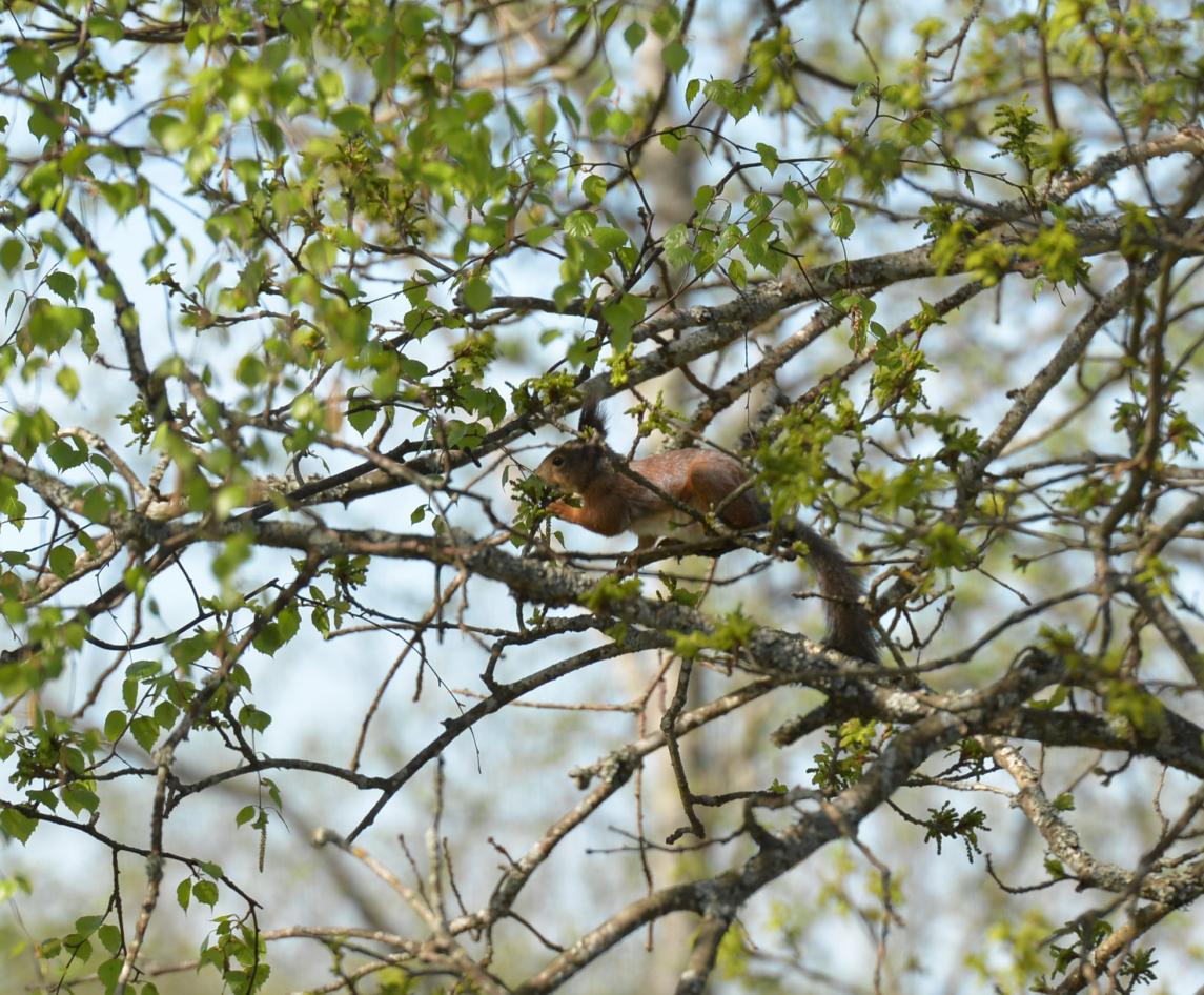 DSC_0845.jpg