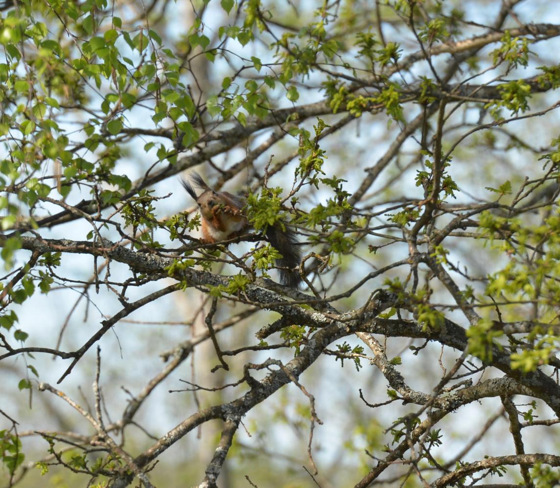 DSC_0850.jpg