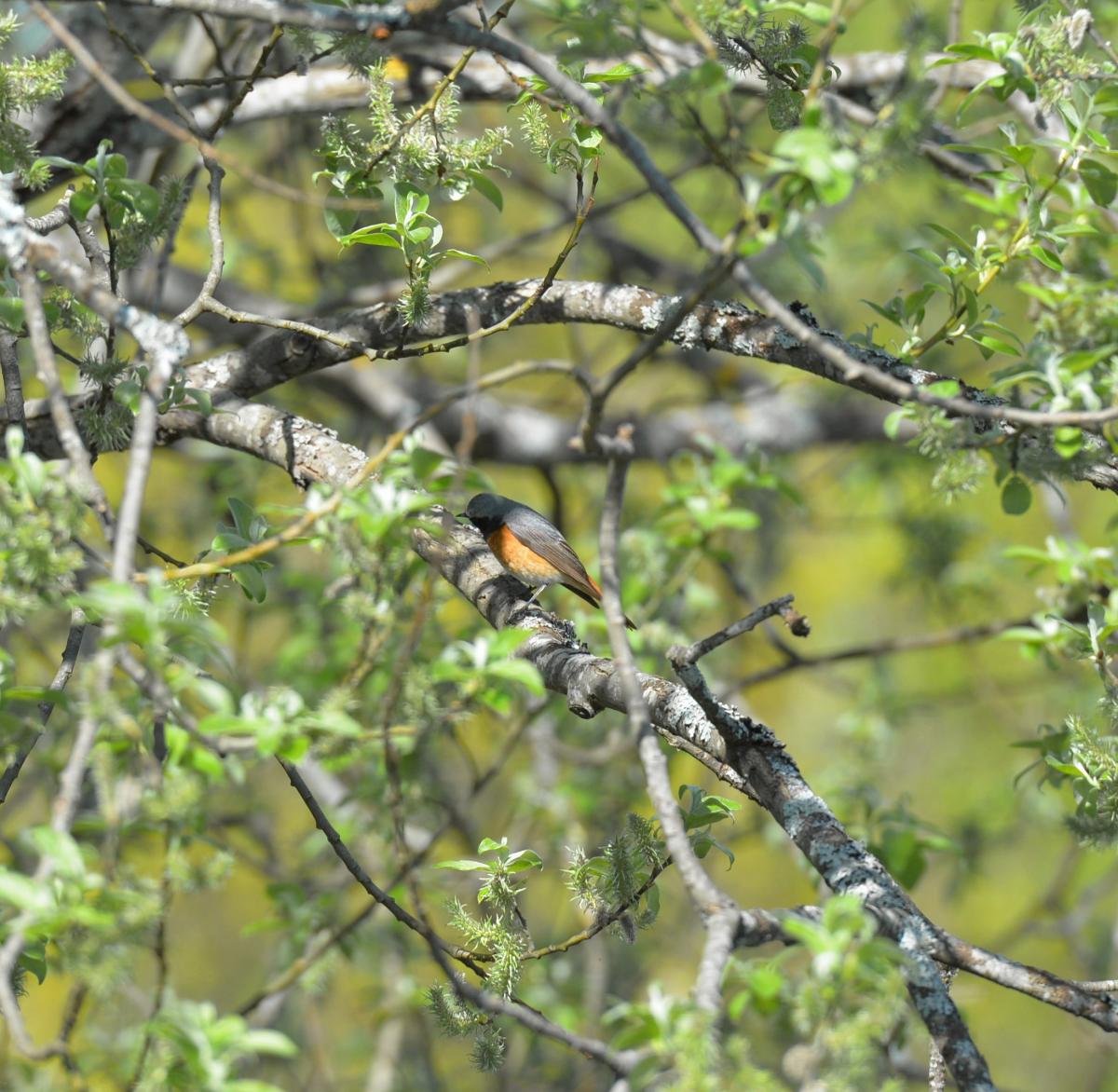 DSC_0840.jpg