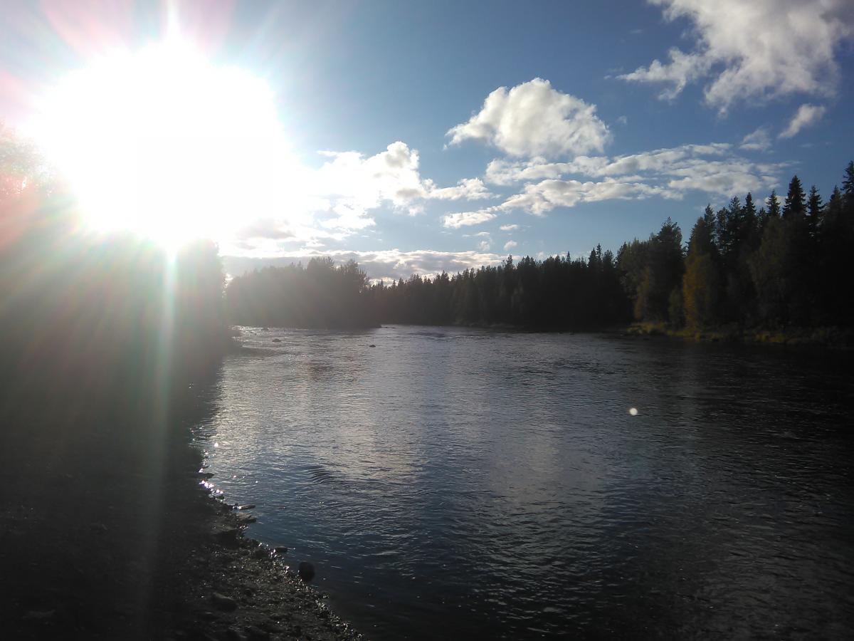 IMG_20160904_175057.jpg