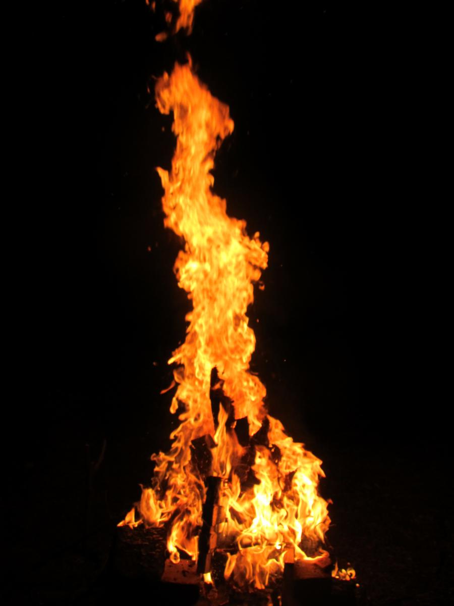 IMG_3421.jpg