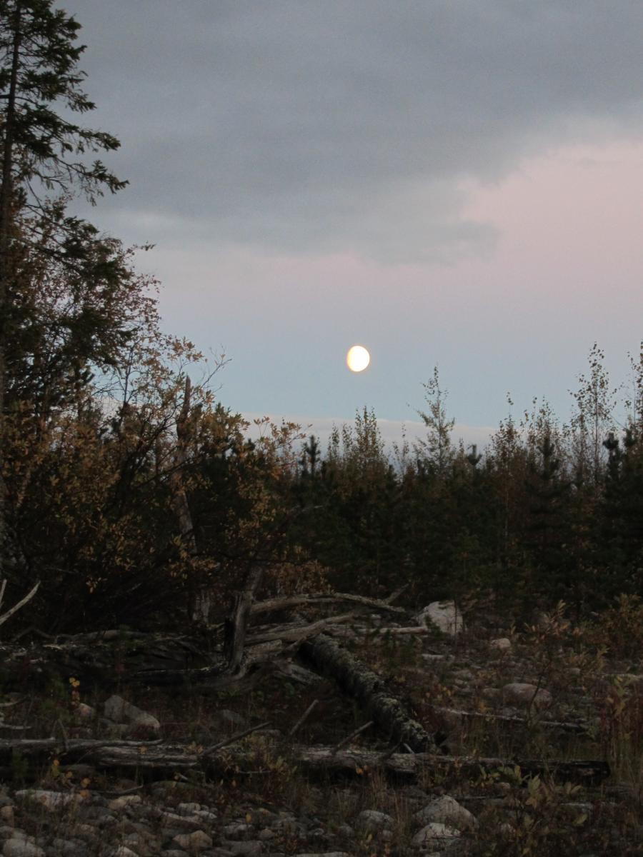IMG_3545.jpg