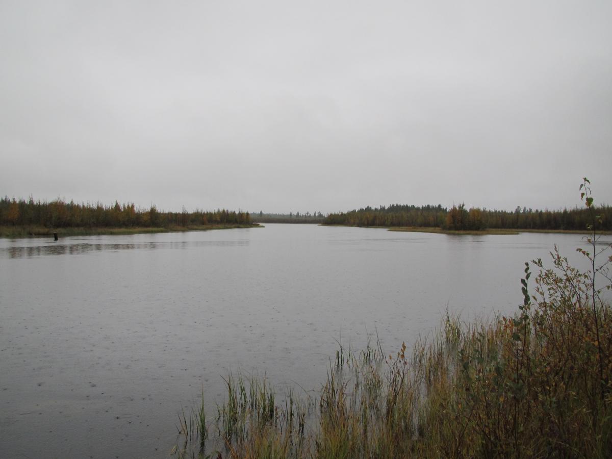 IMG_3575.jpg