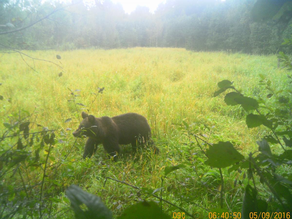 PTDC0104.jpg