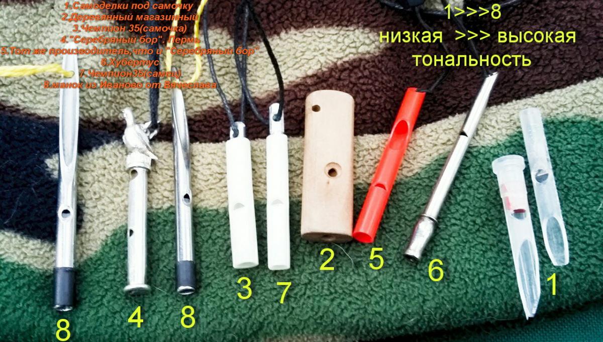 манки.jpg