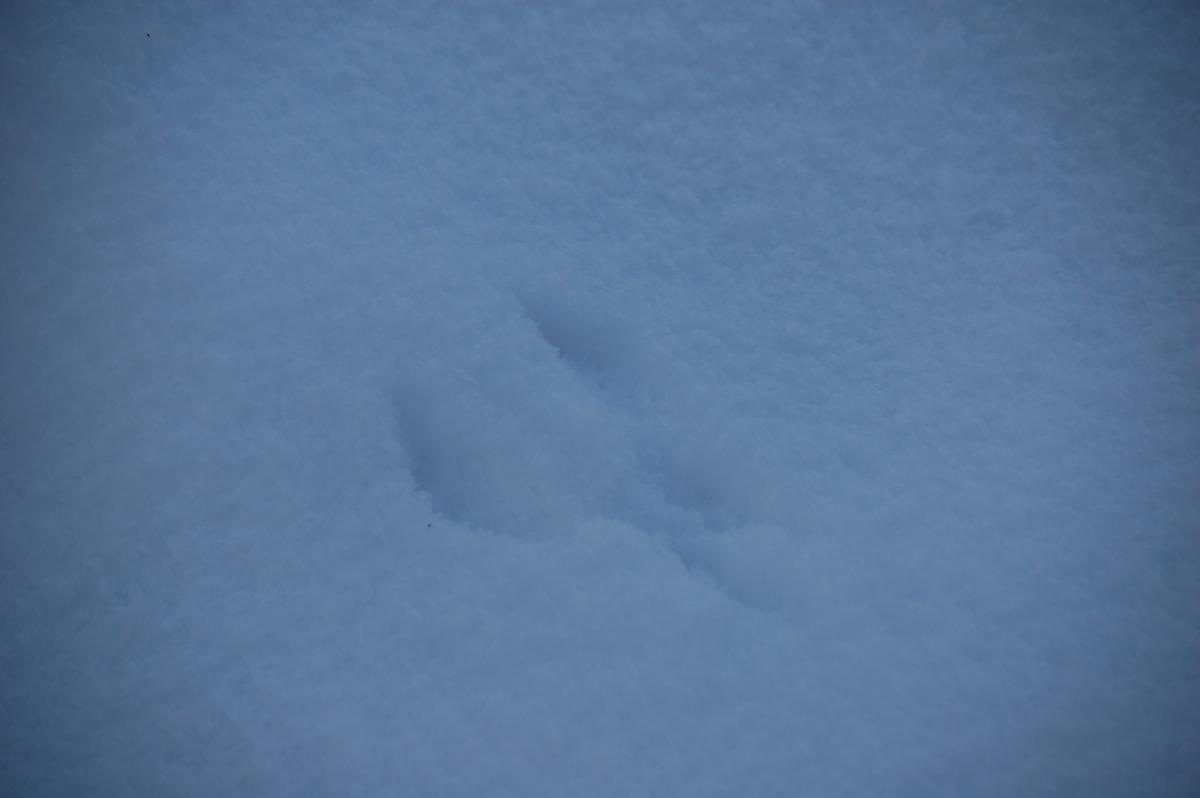 DSC_0535.jpg