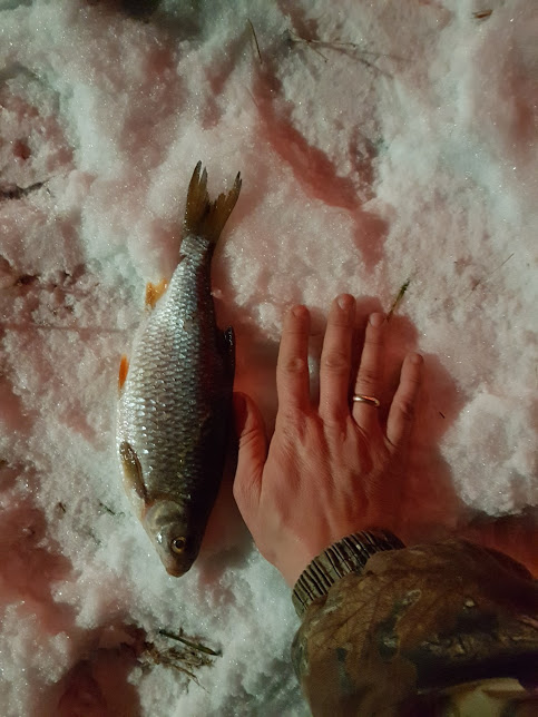 20170111_211902.jpg
