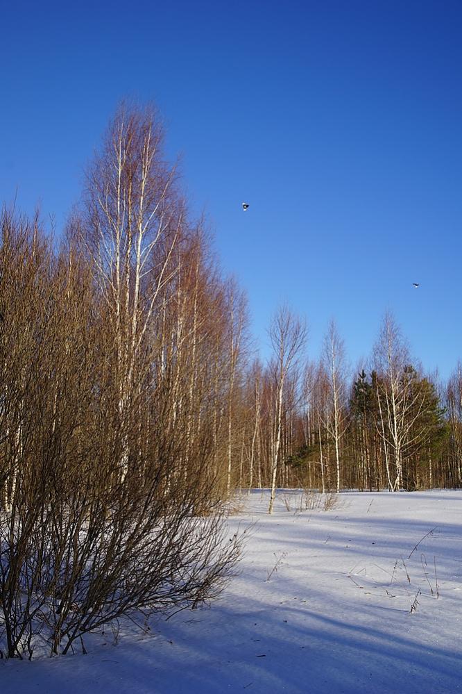 DSC00398.jpg