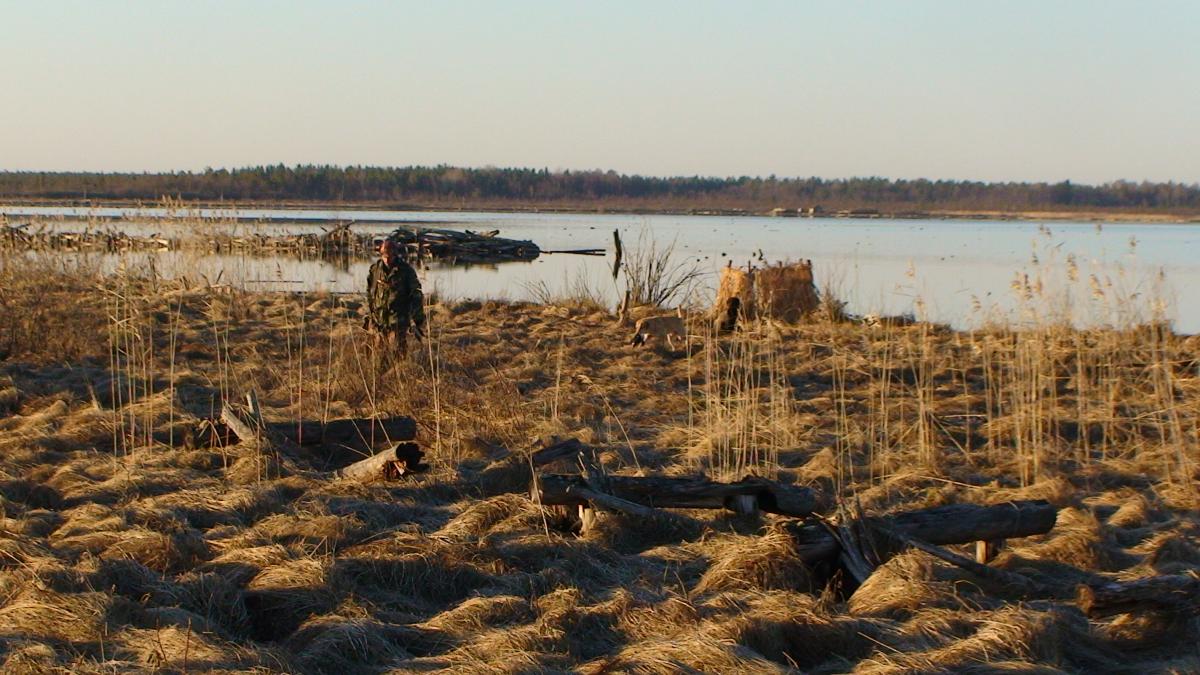 Весна 2011-Водлица-Собаки-09.05.11-02.jpg