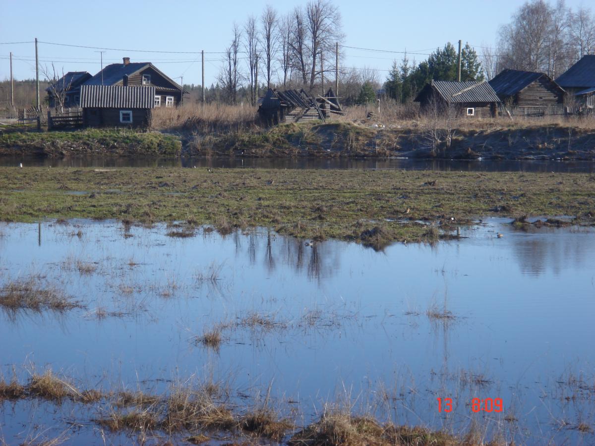 Весна 2011-Водлица-р.Водлица-13.05.11-76.jpg