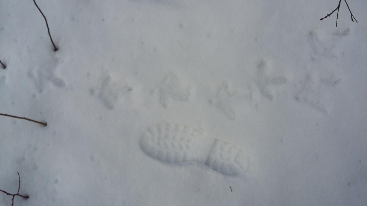 20170224_145722.jpg